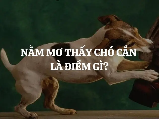 Giải Mã Giấc Mơ Bị Chó Cắn Giải Mã Giấc Mơ Bị Chó Cắn