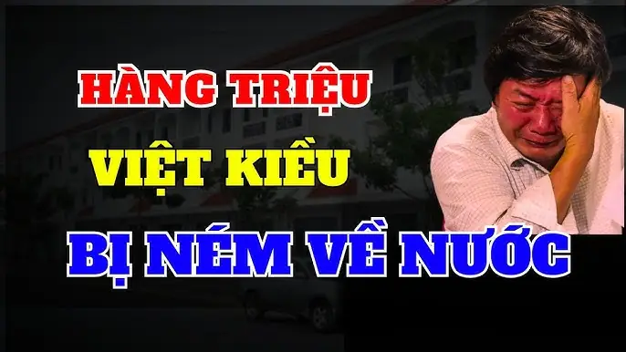 Giải Mã Giấc Mơ Bị Dao Đâm Chảy Máu