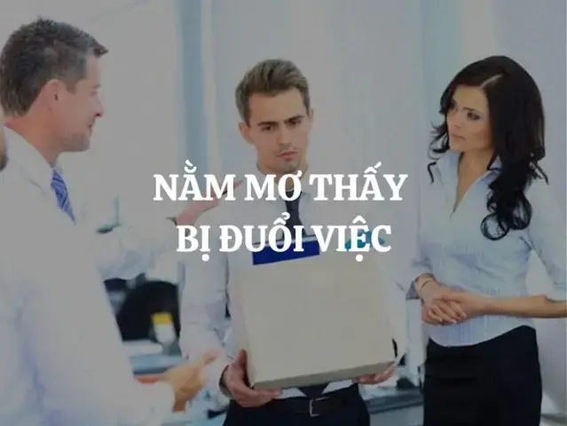Giải Mã Giấc Mơ Bị Đuổi Việc