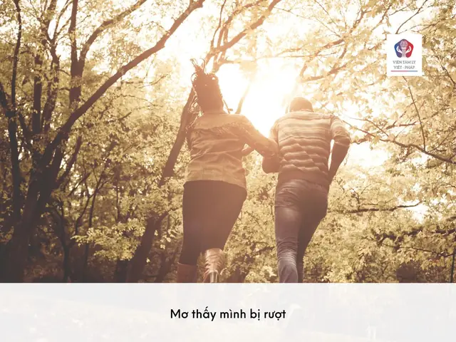 Giải Mã Giấc Mơ Bị Lừa Dối