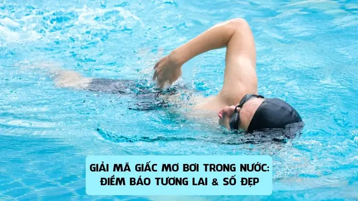 Giải Mã Giấc Mơ Bơi Trong Nước Giải Mã Giấc Mơ Bơi Trong Nước