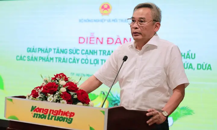 Giải Mã Giấc Mơ Cây Chuối Có Tốt Không Giải Mã Giấc Mơ Cây Chuối Có Tốt Không