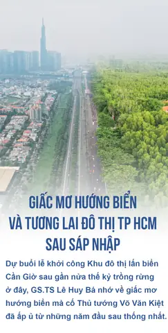 Giải Mã Giấc Mơ Chủ Đề Nai