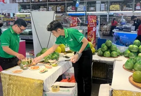 Giải Mã Giấc Mơ Đã Mua Nhà Nhưng Quên Giải Mã Giấc Mơ Đã Mua Nhà Nhưng Quên