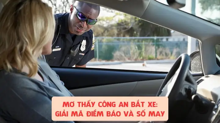 Giải Mã Giấc Mơ Đang Kéo Xe