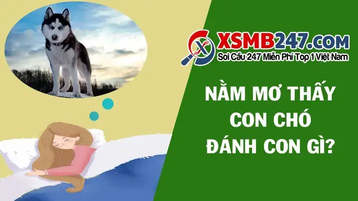 Giải Mã Giấc Mơ Đang Kéo Xe