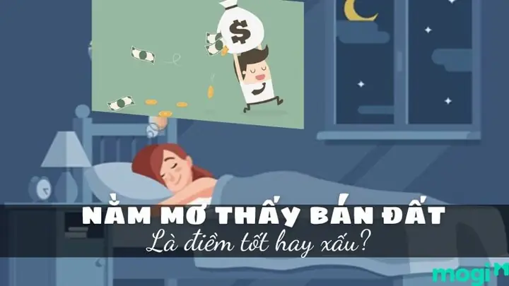 Giải Mã Giấc Mơ Đất Đai Rộng