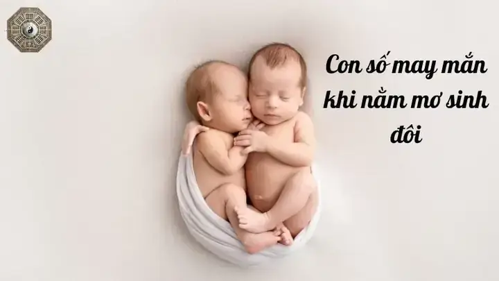 Giải Mã Giấc Mơ Đẻ Sinh Đôi