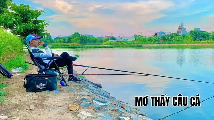 Giải Mã Giấc Mơ Di Cau Ca