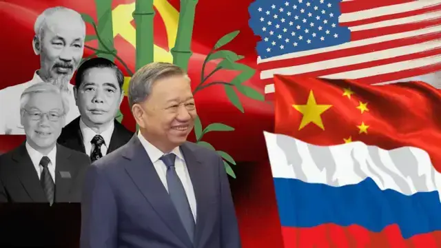 Giải Mã Giấc Mơ Gặp Cây Tre Giải Mã Giấc Mơ Gặp Cây Tre