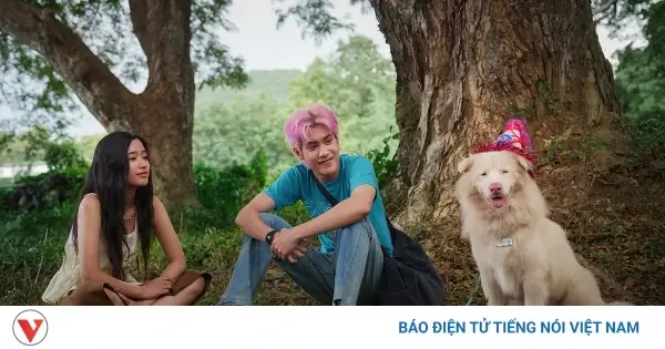 Giải Mã Giấc Mơ Gặp Chó Điên Giải Mã Giấc Mơ Gặp Chó Điên