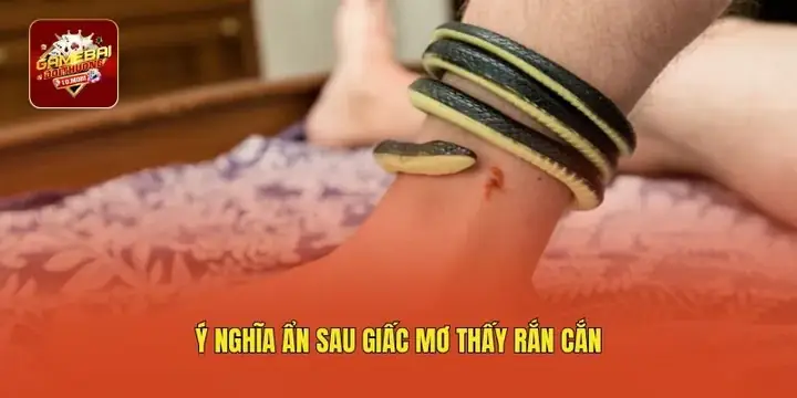 Giải Mã Giấc Mơ Lô Đề Bị Rắn Cắn