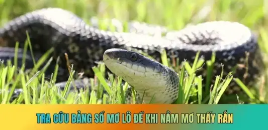 Giải Mã Giấc Mơ Lô Đề Tap 2