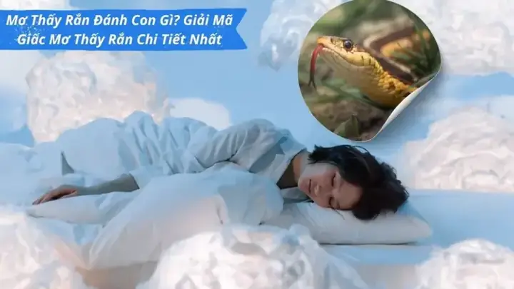 Giải Mã Giấc Mơ Lô Đề Yo88