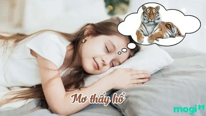 Giải Mã Giấc Mơ Ma Khi Đuổi