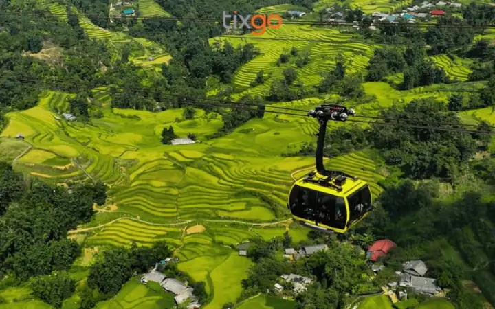Giải Mã Giấc Mơ Mình Đi Cap Treo Giải Mã Giấc Mơ Mình Đi Cap Treo