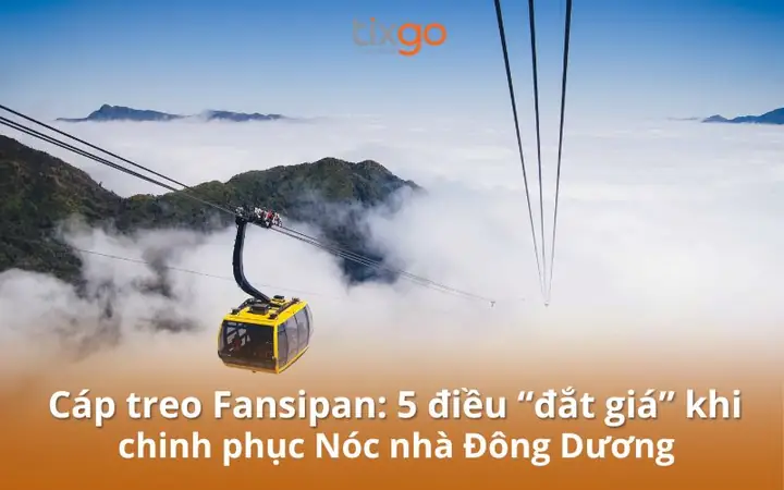 Giải Mã Giấc Mơ Mình Đi Cap Treo Giải Mã Giấc Mơ Mình Đi Cap Treo