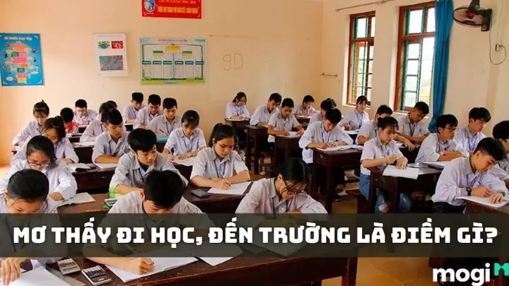 Giải Mã Giấc Mơ Mơ Đi Học