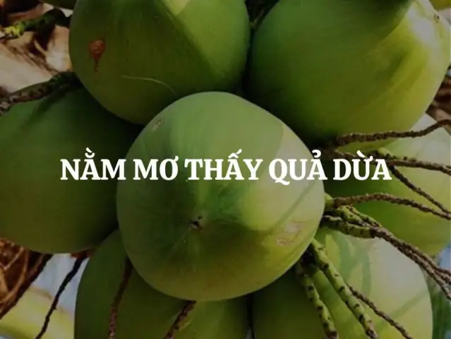 Giải Mã Giấc Mơ Mơ Thấy Dưa Chuột Giải Mã Giấc Mơ Mơ Thấy Dưa Chuột