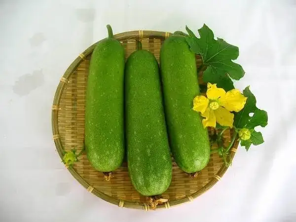 Giải Mã Giấc Mơ Mơ Thấy Dưa Chuột Giải Mã Giấc Mơ Mơ Thấy Dưa Chuột