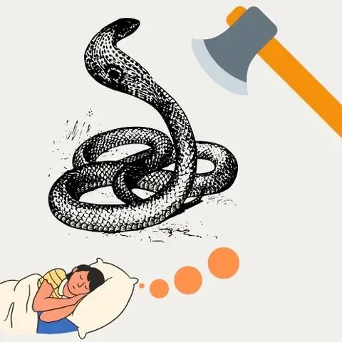 Giải Mã Giấc Mơ Người Ta Bị Chặt Đầu Giải Mã Giấc Mơ Người Ta Bị Chặt Đầu