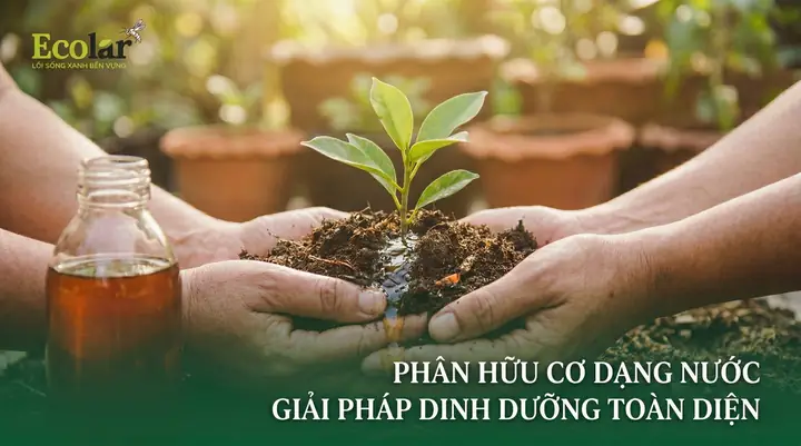 Giải Mã Giấc Mơ Người Ta Bị Chặt Đầu Giải Mã Giấc Mơ Người Ta Bị Chặt Đầu