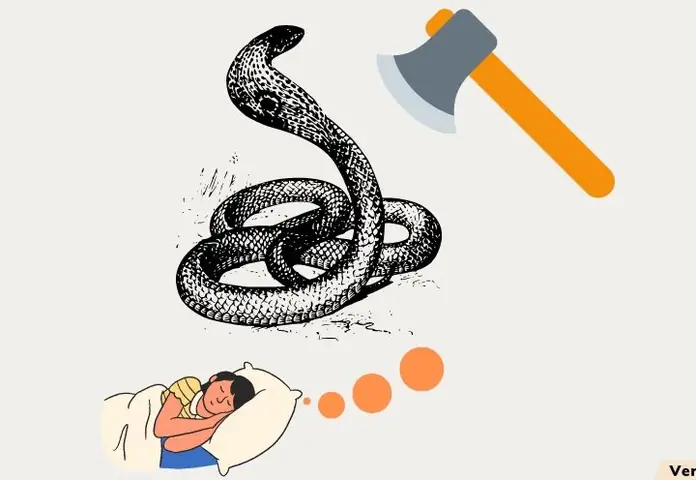 Giải Mã Giấc Mơ Người Ta Bị Chặt Đầu Giải Mã Giấc Mơ Người Ta Bị Chặt Đầu