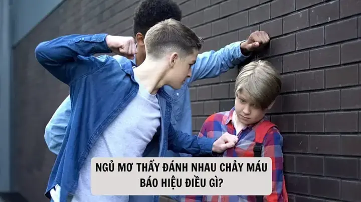 Giải Mã Giấc Mơ Nhìn Thấy Đánh Nhau