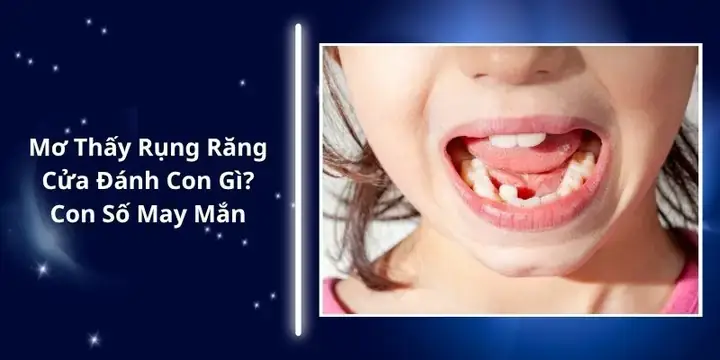 Giải Mã Giấc Mơ Rụng Răng Cửa Giải Mã Giấc Mơ Rụng Răng Cửa