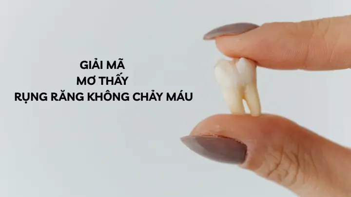 Giải Mã Giấc Mơ Rụng Răng Không Chảy Máu Giải Mã Giấc Mơ Rụng Răng Không Chảy Máu