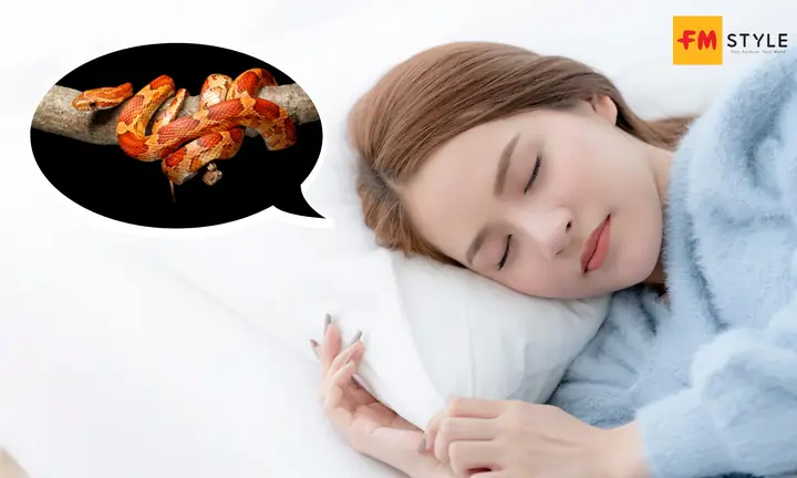 Giải Mã Giấc Mơ Thấy 2 Con Rắn Giải Mã Giấc Mơ Thấy 2 Con Rắn