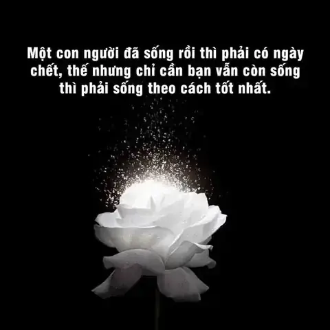 Giải Mã Giấc Mơ Thấy Bà Ngoại Giải Mã Giấc Mơ Thấy Bà Ngoại