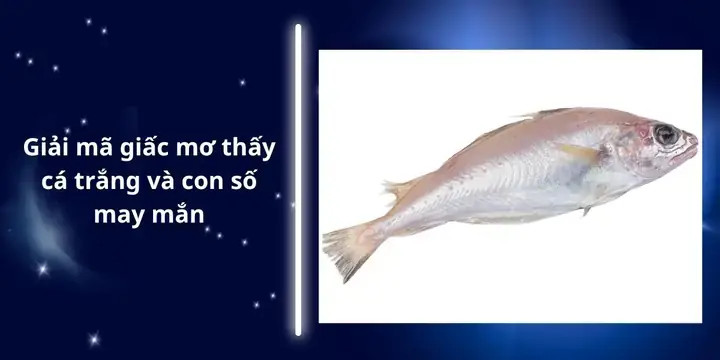 Giải Mã Giấc Mơ Thấy Bác Hồ