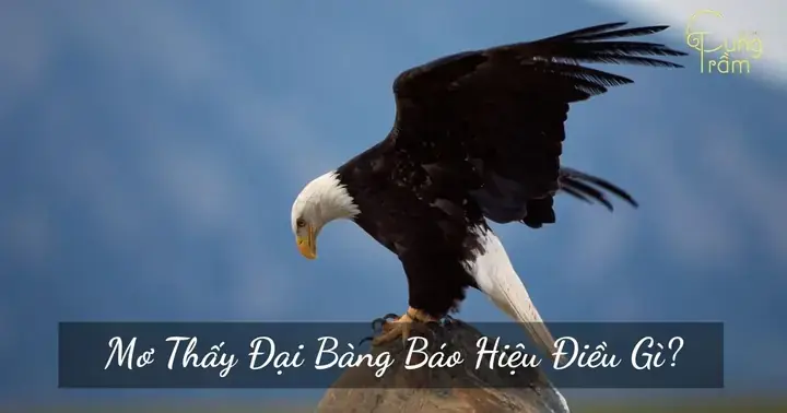Giải Mã Giấc Mơ Thấy Bạch Long