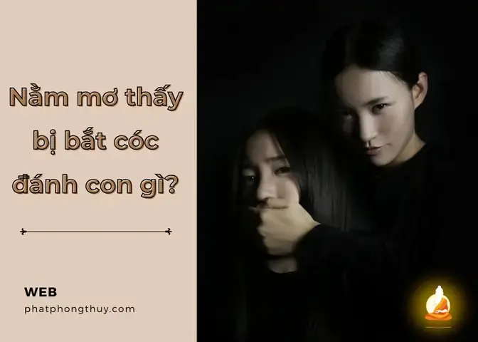 Giải Mã Giấc Mơ Thấy Bắt Cóc Trẻ Con