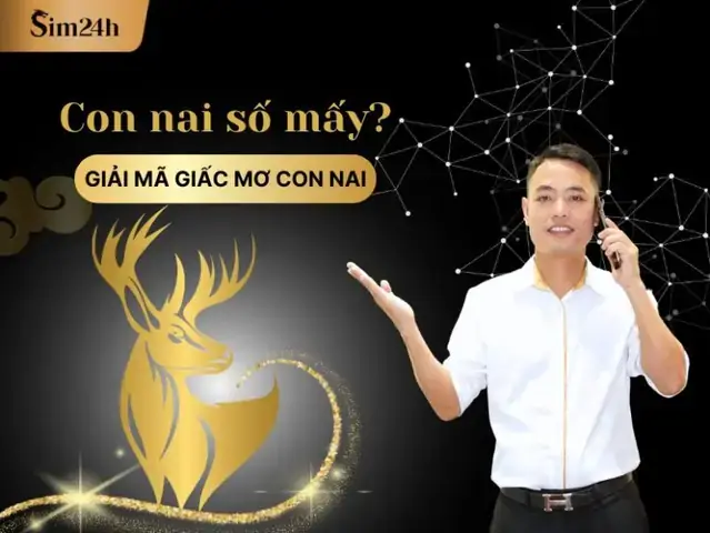 Giải Mã Giấc Mơ Thấy Bắt Được Hươu Giải Mã Giấc Mơ Thấy Bắt Được Hươu