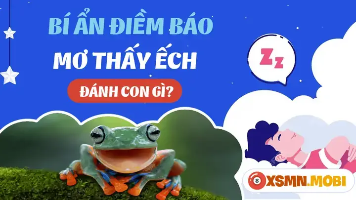 Giải Mã Giấc Mơ Thấy Bắt Ếch