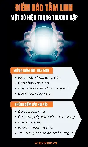 Giải Mã Giấc Mơ Thấy Bắt Ếch
