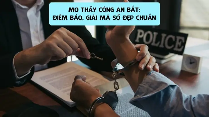Giải Mã Giấc Mơ Thấy Bị Công An Bắt Xe