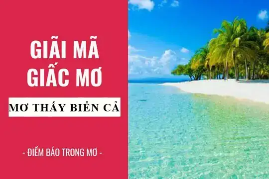 Giải Mã Giấc Mơ Thấy Biển Nước Giải Mã Giấc Mơ Thấy Biển Nước