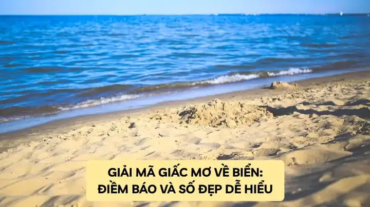 Giải Mã Giấc Mơ Thấy Biển Và Cá Giải Mã Giấc Mơ Thấy Biển Và Cá