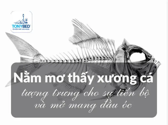 Giải Mã Giấc Mơ Thấy Bộ Xương