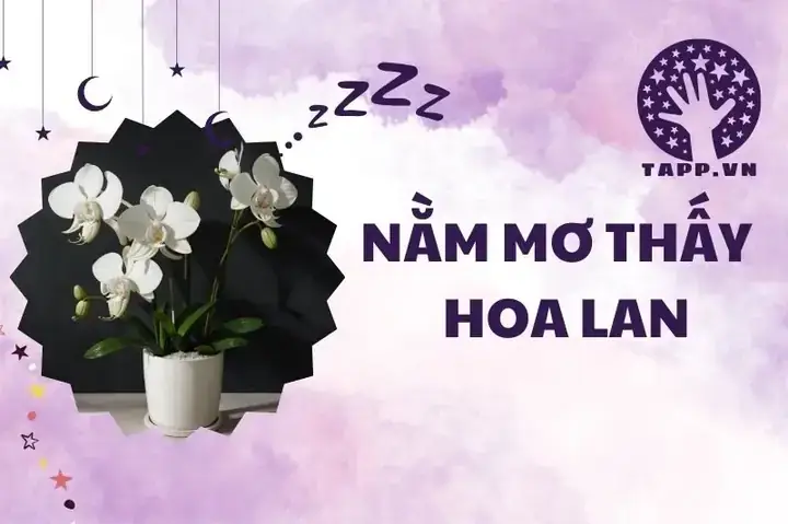 Giải Mã Giấc Mơ Thấy Búp Bê Ma Giải Mã Giấc Mơ Thấy Búp Bê Ma