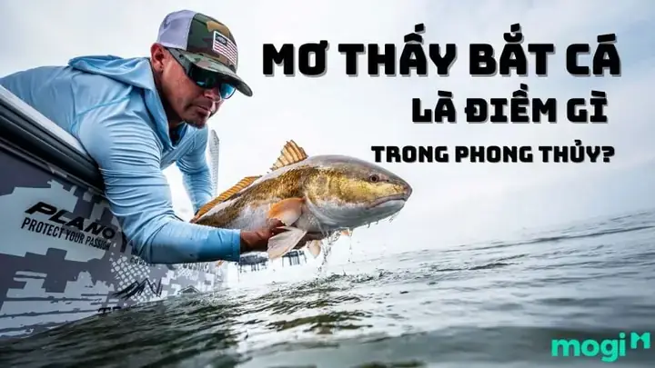 Giải Mã Giấc Mơ Thấy Cá Trê