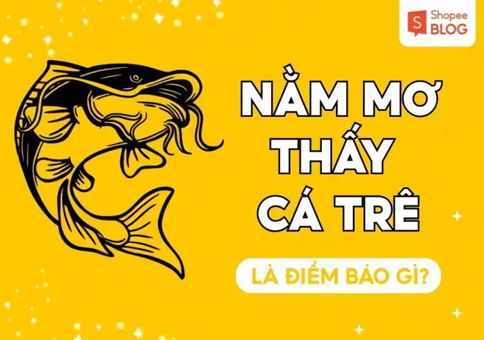 Giải Mã Giấc Mơ Thấy Cá Trê Giải Mã Giấc Mơ Thấy Cá Trê