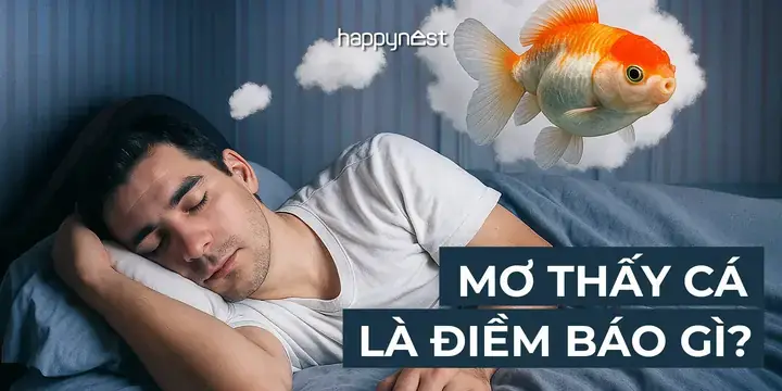 Giải Mã Giấc Mơ Thấy Cá Trích