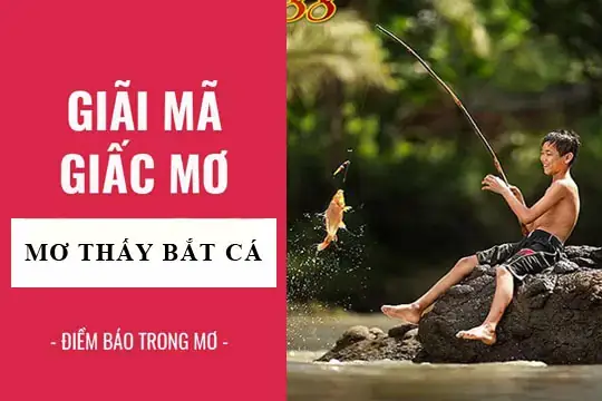 Giải Mã Giấc Mơ Thấy Cần Câu