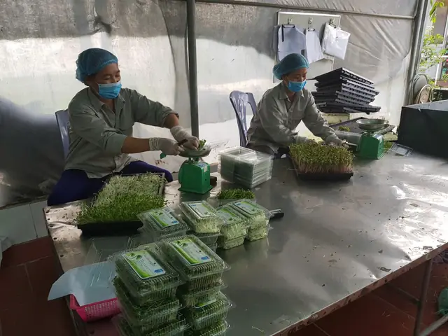 Giải Mã Giấc Mơ Thấy Cảnh Giết Mổ Giải Mã Giấc Mơ Thấy Cảnh Giết Mổ