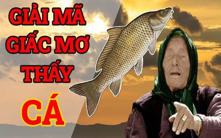 Giải Mã Giấc Mơ Thấy Câu Cá Giải Mã Giấc Mơ Thấy Câu Cá