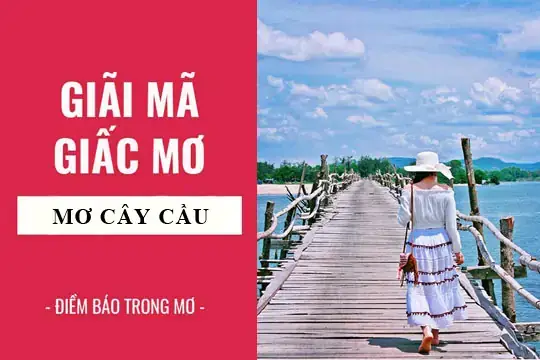 Giải Mã Giấc Mơ Thấy Cây Cầu Đang Xây